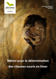 Mémo de détermination Mémo de détermination